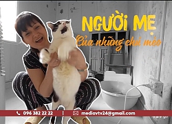 Người mẹ của những chú mèo