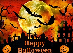 Những điều cấm kỵ tuyệt đối không nên làm vào ngày lễ Halloween