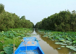 Những thiên đường xanh ngắt ở miền Tây-đến không muốn về