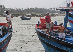 Phú Yên: Kêu gọi 1.924 lao động trên biển tìm nơi tránh trú an toàn