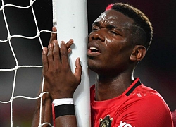 Pogba vắng mặt đến tháng 12 vì chấn thương