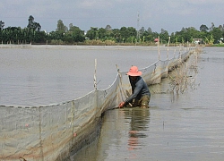 Triều cường đầu tháng 10 âm lịch sẽ thấp hơn đầu tháng 9 âm lịch