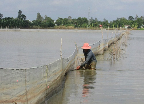 Triều cường đầu tháng 10 âm lịch sẽ thấp hơn đầu tháng 9 âm lịch