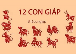 12 con giáp nên chú ý điều gì trong năm 2020 để mọi chuyện như ý?