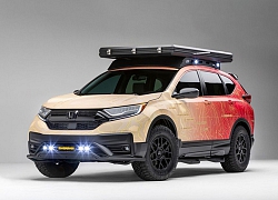 CR-V sẽ là "Ngôi sao sáng" của Honda tại SEMA 2019