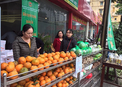 Hội làm cầu nối, nông dân yên tâm sản xuất