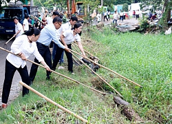 Hội Nông dân TP HCM đóng góp lớn xây dựng nông thôn mới