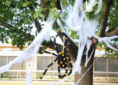 Thói quen dùng mạng nhện giả trang trí mùa Halloween: Siêu rẻ và ma mị, nhưng lại là một thảm họa sinh thái thực sự