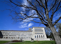 WTO 'bật đèn xanh' cho Trung Quốc áp thuế chống phá giá hàng hóa Mỹ