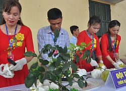 Yên Bái: Về Đại Minh xem dân thi bóc bưởi..."tiến vua"