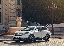 Yếu tố nào tạo nên sự thành công của Honda CR-V?