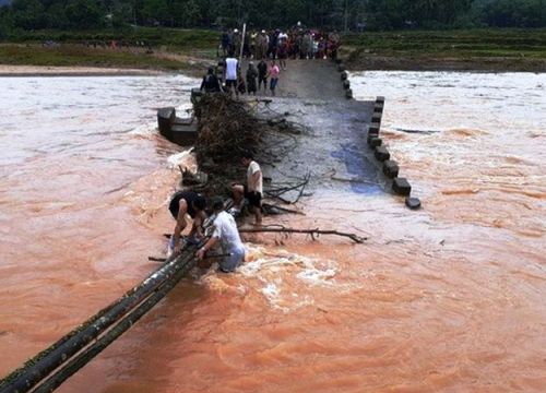 Bình Định: "Lạnh gáy" người dân ghép cây làm cầu tạm vượt sông