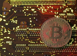 Bitcoin 'đỏ lửa' đầu tuần