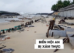 Bờ biển Hội An lại "vỡ trận" do ảnh hưởng của bão số 5