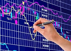 Chỉ số Vn-Index tiếp tục tăng điểm, vững vàng trên mốc 1.000 điểm