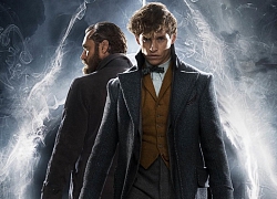 Fantastic Beasts 3 chính thức khởi động, Johnny Depp mở lời trở lại nhưng fan tranh cãi dữ dội