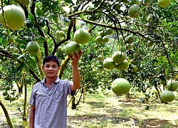 Giúp nông dân tránh cảnh "được mùa, mất giá"