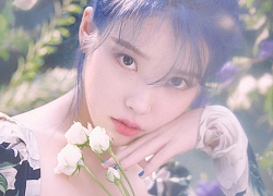 IU vừa thông báo ra mắt album, 'Love poem' đã nhanh chóng đạt Perfect All-kill