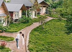 Loạt homestay mới nổi ở Mộc Châu