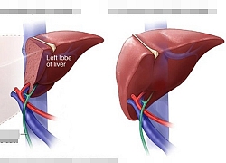 Những sự thật đáng kinh ngạc về cơ thể con người