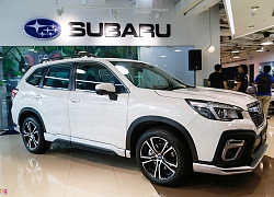 Subaru Forester GT edition ra mắt, về VN vào tháng 4 năm sau