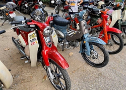 Trong nửa Thế kỷ qua, những chiếc Honda Super Cub đã gắn liền với người dân Việt như thế nào?