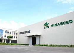 Vinaseed (NSC) chuẩn bị trả cổ tức bằng tiền tỷ lệ 15%