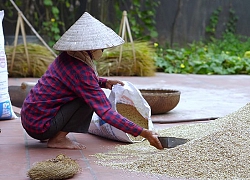 Bà Tân Vlog và Ẩm Thực Mẹ Làm đều tung clip làm bánh dày vào cùng một ngày, dân tình lại được dịp so sánh bánh của ai ngon hơn rồi đây!