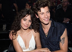 Camila Cabello và Shawn Mendes thống lĩnh Spotify năm nay với bản hit "định tình"!