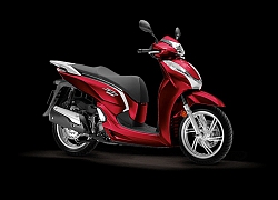 Giá xe máy Piaggio mới nhất tháng 11/2019: Cao nhất tới hơn 400 triệu