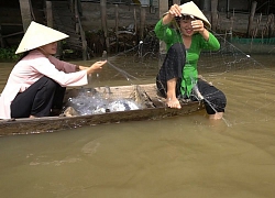 Giăng lưới trên sông hậu bắt cá dảnh, bữa cơm chả cá dảnh đơn giản mà ngon