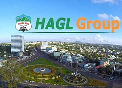 HAGL Group (HAG): Quý III/2019, lợi nhuận sau thuế âm 560 tỷ đồng