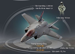 Infographic: Bất ngờ với lý do chiến đấu cơ tàng hình F-35A bị hỏng tàng hình