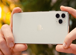 iPhone 11 Pro Max đứng thứ ba trên bảng xếp hạng camera của DxOMark