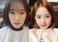 Jisoo và Irene khi chung khung hình và cùng 1 kiểu makeup: Xinh đẹp ngút ngàn khiến netizen khó phân thắng bại