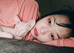 Kim Hee Chul nhận chăm mèo cưng của Sulli