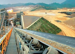 Masan Resources (MSR) phát hành gần 90 triệu cổ phiếu trả cổ tức, tỷ lệ 10%