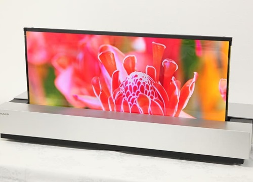 Sharp giới thiệu màn hình OLED 4K đột phá, không bộ lọc màu, cuộn lại như giấy, mỏng 0,5mm