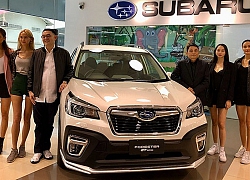 Subaru Forester phiên bản thể thao GT Edition, thể thao mạnh mẽ hơn