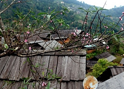 Tây Sơn thương nhớ...