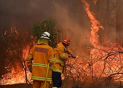 Australia: Cháy rừng gây ô nhiễm không khí đáng báo động ở Brisbane