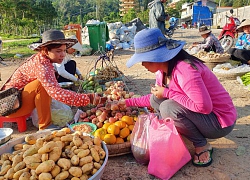 Chợ "chồm hổm" độc đáo ở An Giang, họp chỉ 1 tiếng là "giải tán"