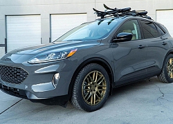 Ford Escape 2020 "LGE-CTS Motorsports" trông cũng ra trò từ góc nhìn phiêu lưu việt dã