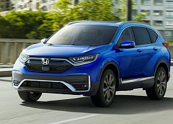 Honda CR-V 2020 sử dụng động cơ Turbo I4 1.5 lít, tăng giá 'nhẹ' 600 đô