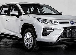 Toyota Wildlander 2020 lộ diện, 'thách thức' Honda CR-V, Mazda CX-5