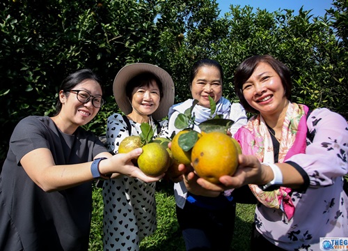 Trải nghiệm làm vườn của Nhóm Phụ nữ Cộng đồng ASEAN tại Hà Nội