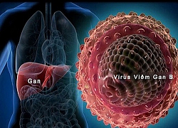 Vai trò của dinh dưỡng với trẻ nhỏ mắc viêm gan vi rút