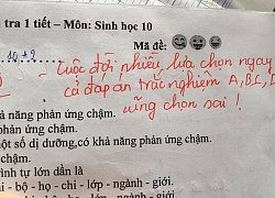 Buồn nẫu ruột vì điểm kém, học trò vẫn phì cười trước dòng nhận xét mặn hơn cả muối của cô giáo