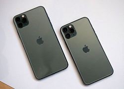 Camera iPhone 11 không còn bị chê xấu