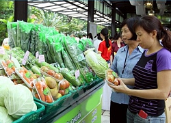 Đa dạng nguồn cung nông sản sạch cho Thủ đô